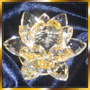 Loto Dorado de los Iluminados